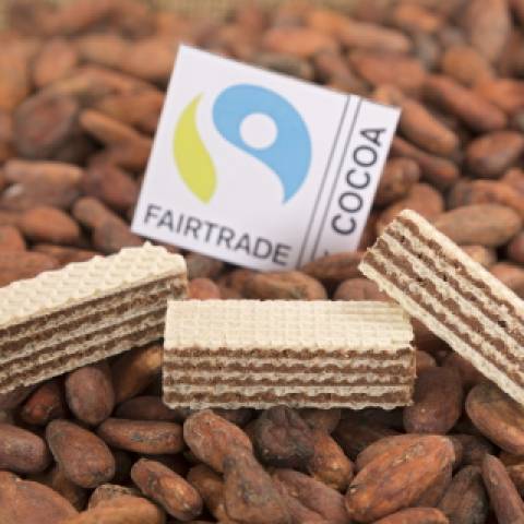 manner_fairtrade_cacao_schnitten